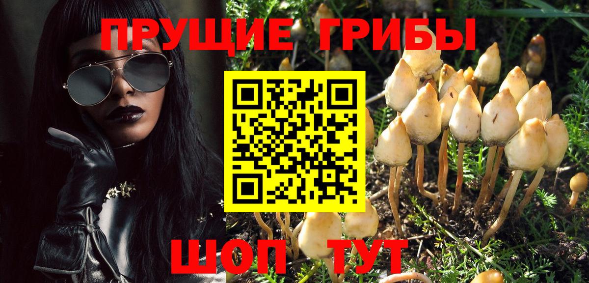 Трёхгорный  Псилоцибиновые грибы Psilocybine cubensis  Вход с VPN 