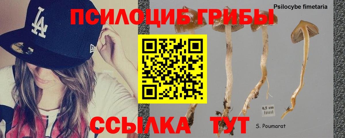 Псилоцибиновые грибы прущие грибы Трёхгорный
